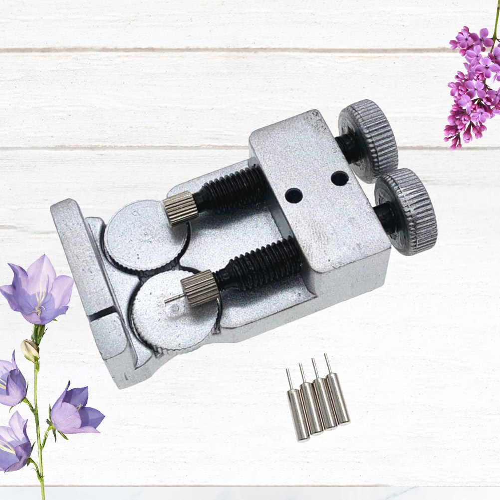 Herramienta de doble cabezal p - Tool Kit Strap Change reseña y precio